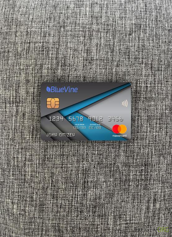 USA Californie BlueVine banque mastercard photolook ,